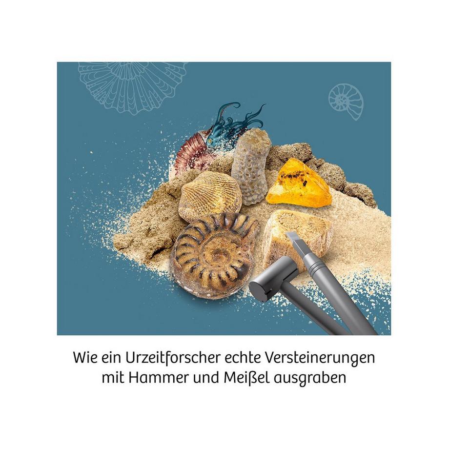 Kosmos  Fossili Set per scavare 