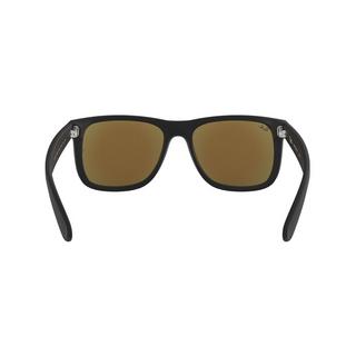 Ray-Ban  SUNGL0RB4165 