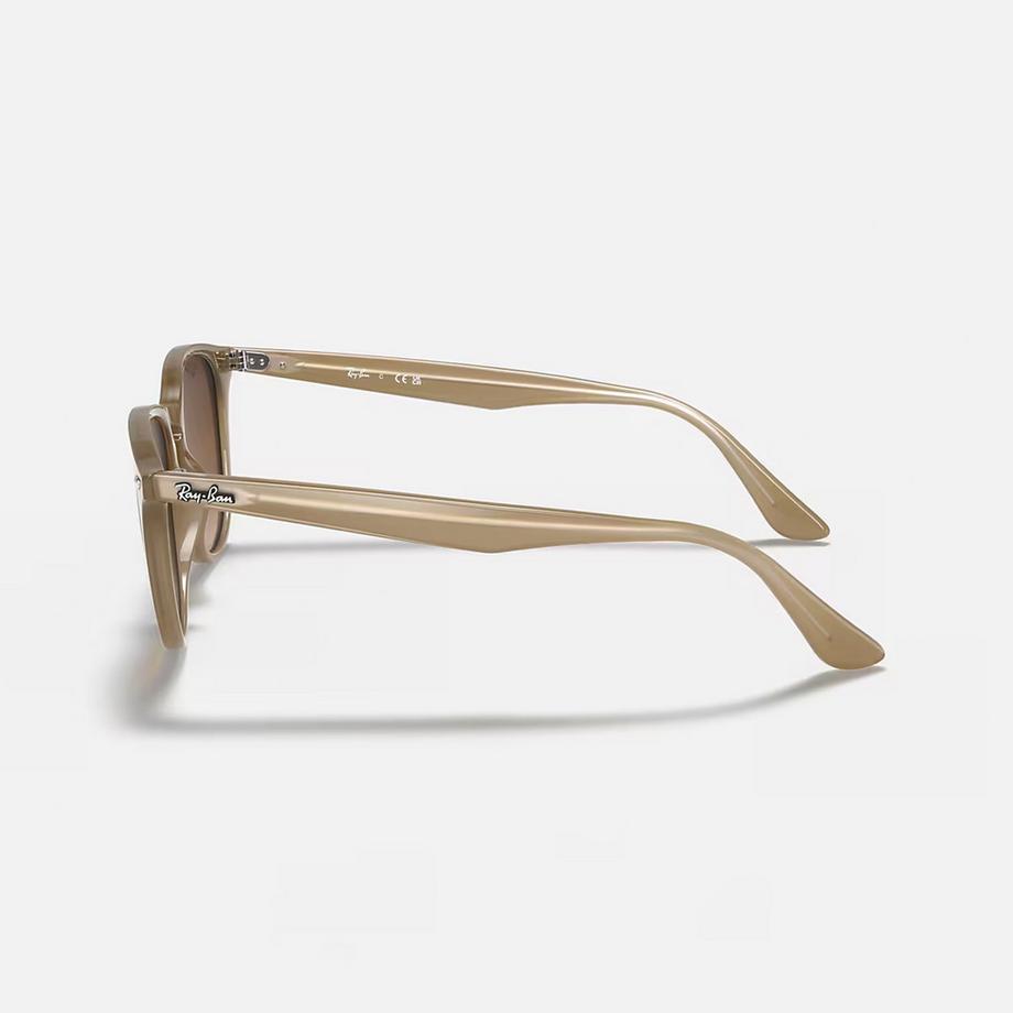 Ray-Ban RB4259 Runde Sonnenbrille  