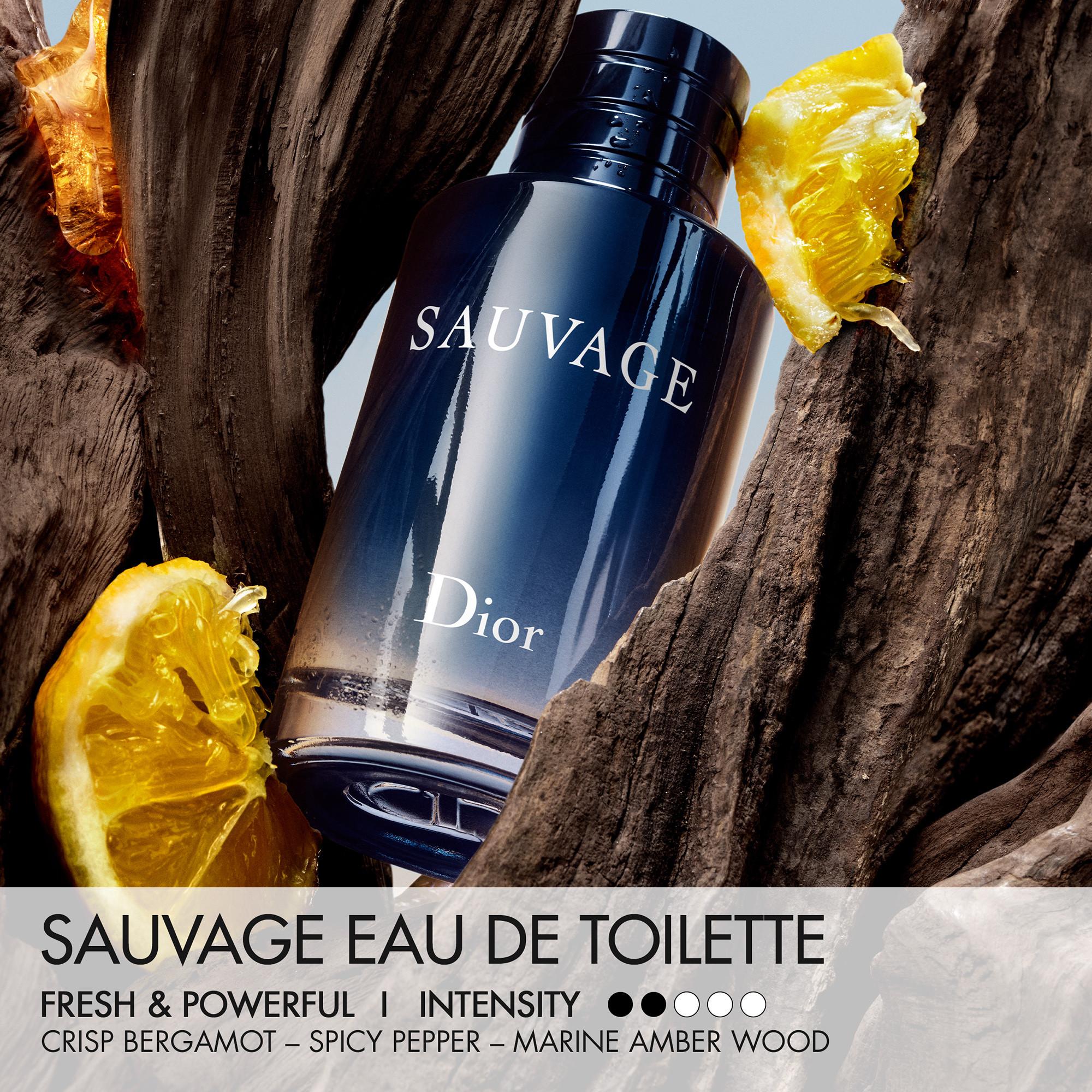 Dior Sauvage Eau de Toilette 
