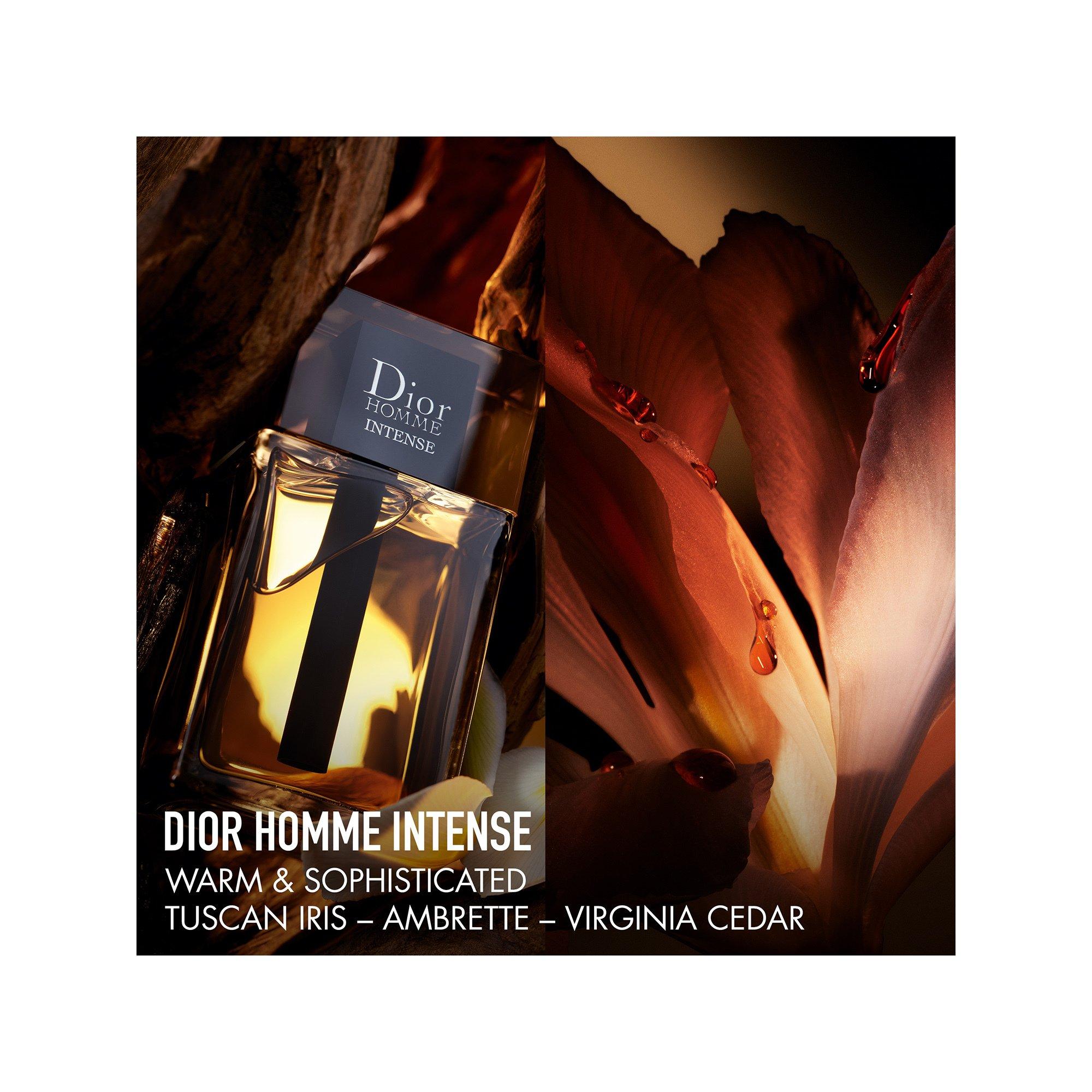 Dior Dior Homme Intense Eau de Parfum intense 