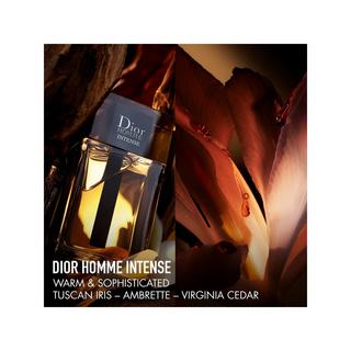 Dior Dior Homme Intense Eau de Parfum intense 