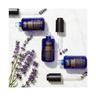 Kiehl's Midnight Recovery Midnight Recovery Concentrate 