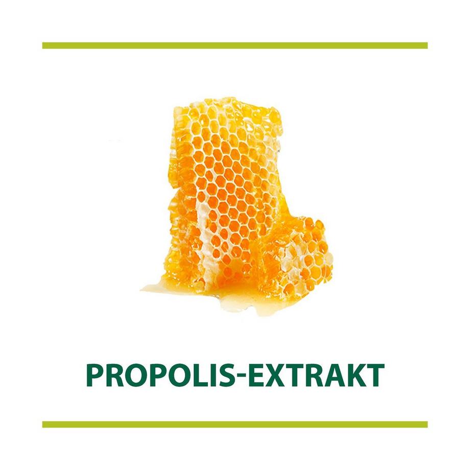 Palmolive Hygiene Plus Family Handseife Antibakteriell Refill Hygiene-Plus Family Sapone Liquido, Sapone Antibatterico Sacchetto Di Ricarica 