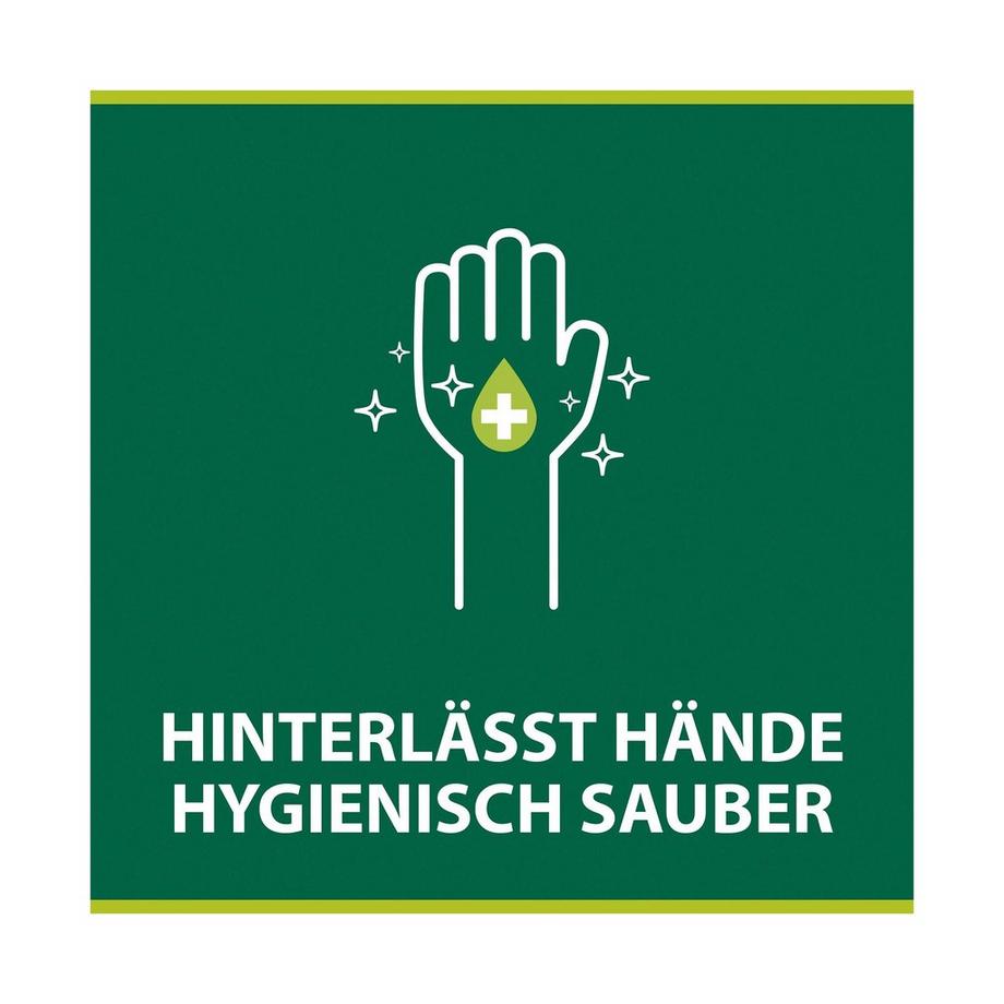 Palmolive Hygiene Plus Family Handseife Antibakteriell Hygiene-Plus Family Sapone Liquido, Sapone Antibatterico Dispenser 