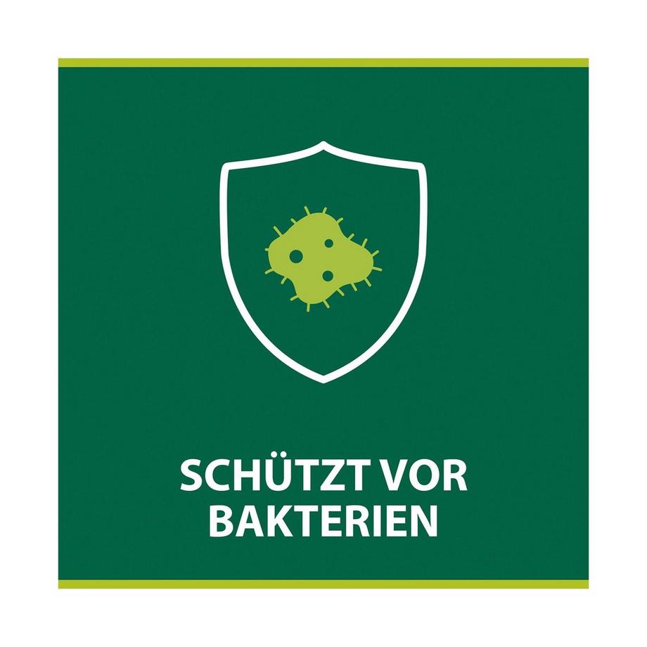 Palmolive Hygiene Plus Family Handseife Antibakteriell Hygiene-Plus Family Sapone Liquido, Sapone Antibatterico Dispenser 