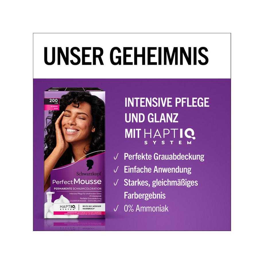Perfect Mousse Permanent Colorazione Permanente Della Schiuma 