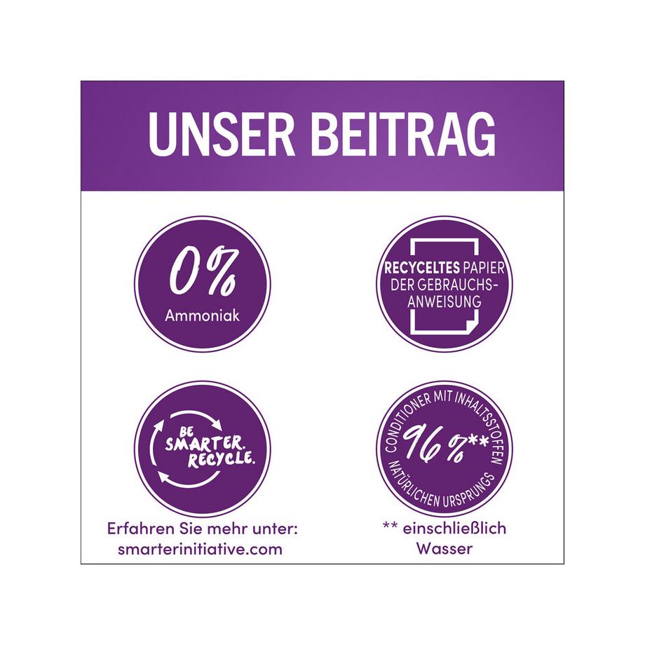 Perfect Mousse Permanent Colorazione Permanente Della Schiuma 