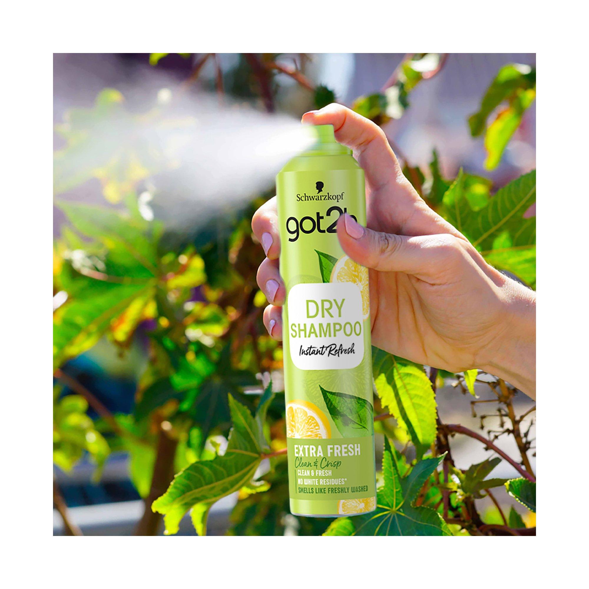 got2b  Fresh & fabulous dry shampoo extra fresh 