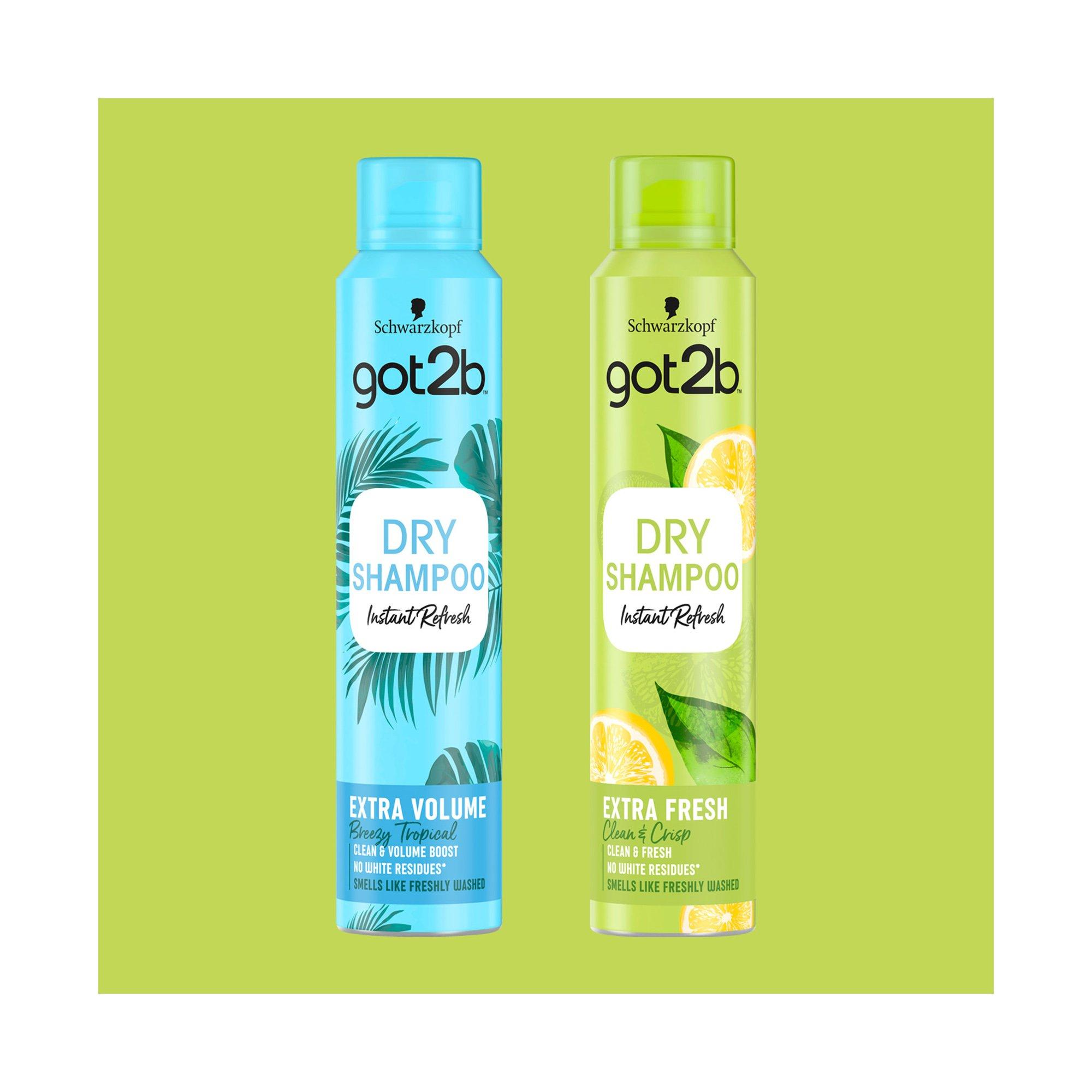 got2b  Fresh & fabulous dry shampoo extra fresh 