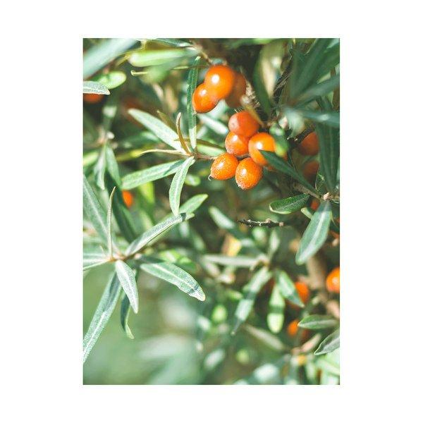 RAUSCH Strong Non-Aerosol  Hairspray 