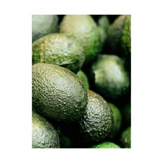 RAUSCH Farbschutz Avocado Baume Protection Couleur À L’Avocat  