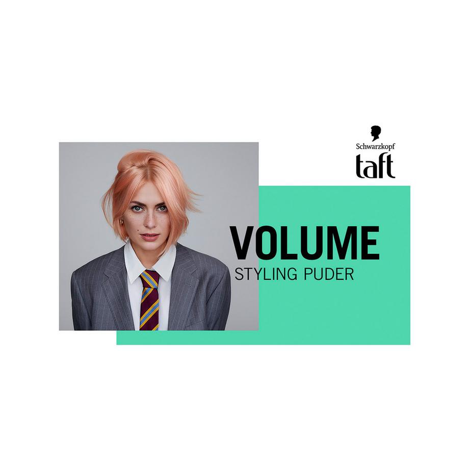 taft  Instant Volume Powder 