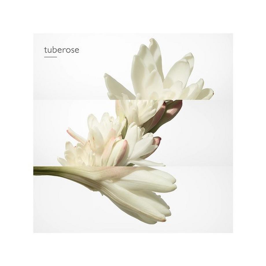 HERMÈS Twilly d'Hermès, Eau de Parfum  