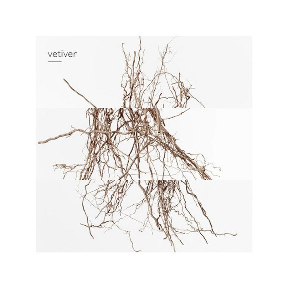 HERMÈS Concentré de pamplemousse rose, Eau de Toilette  