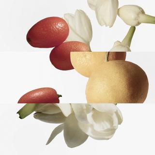 HERMÈS Le Jardin de Monsieur Li, Eau de Toilette  