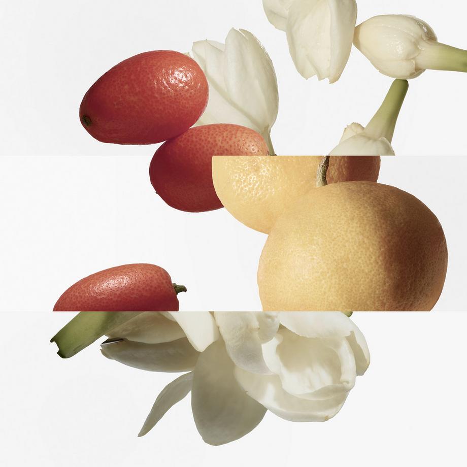 HERMÈS Le Jardin de Monsieur Li, Eau de Toilette  