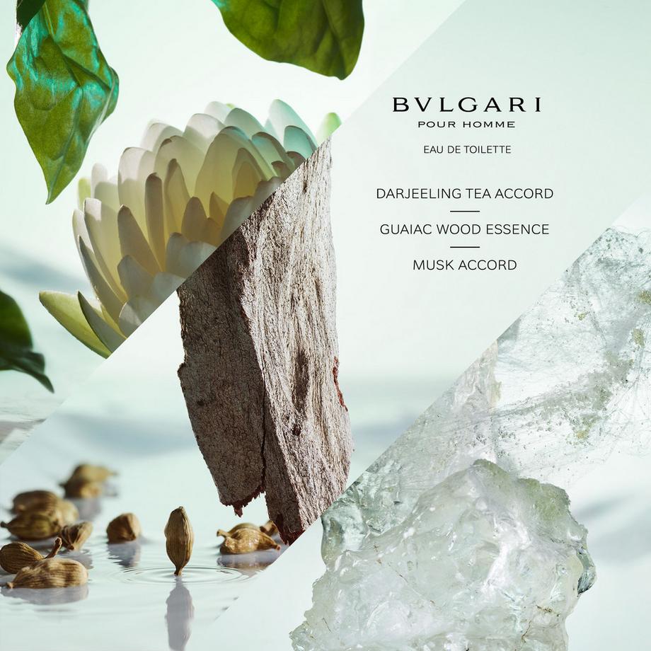 BVLGARI Pour Homme, Eau de Toilette  