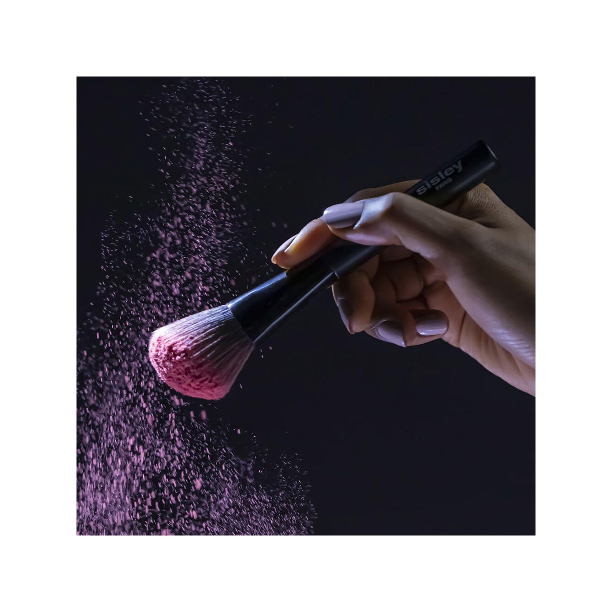 sisley Pinceau Blush  