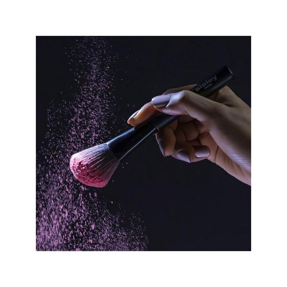 sisley Pinceau Blush  