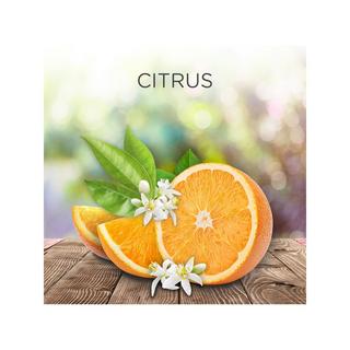 AIR WICK Nachfüllung Duftölflakon Citrus 