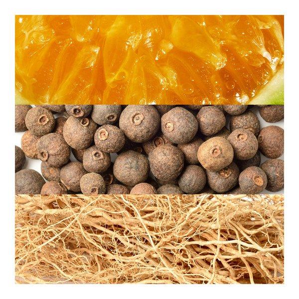 Davidoff DAVIDOFF ADVENTURE  