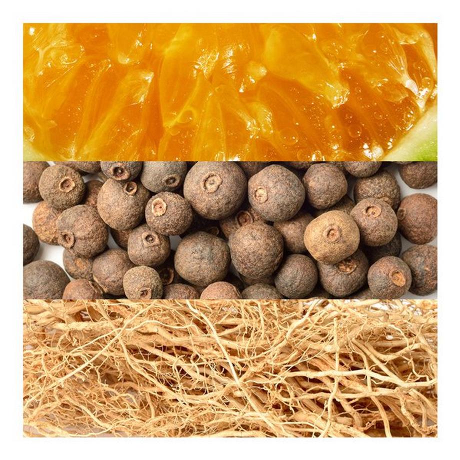 Davidoff DAVIDOFF ADVENTURE  