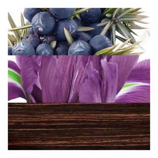 Davidoff The Game, Eau de Toilette  