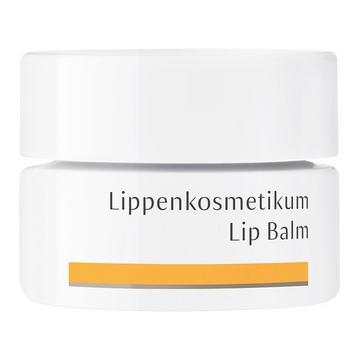 Lippenkosmetikum im Tiegel