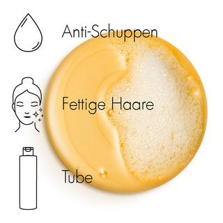 VICHY  Dercos Anti-Schuppen Shampoo fettige Schuppen 