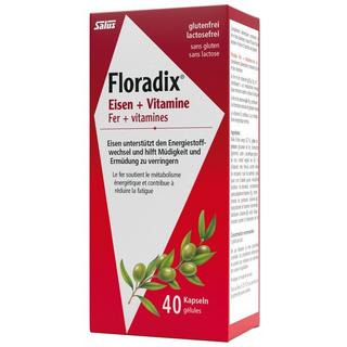 Floradix  FER COMPRIMÉS 40PCES 