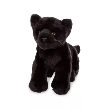 Bébé panthère noir