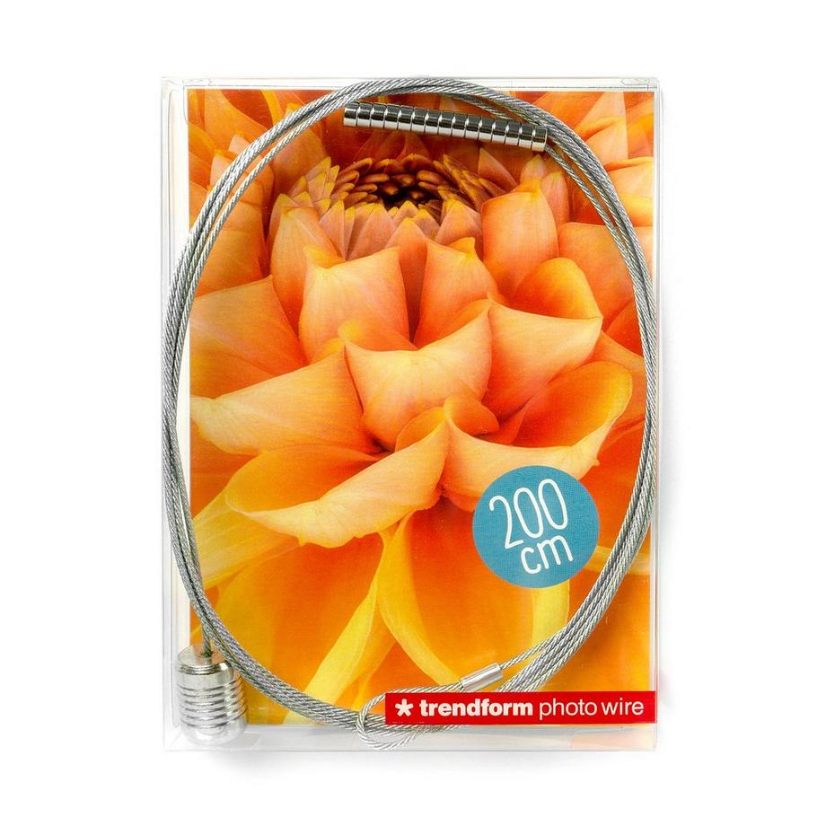 trendform Set di magneti Linea fotografica 