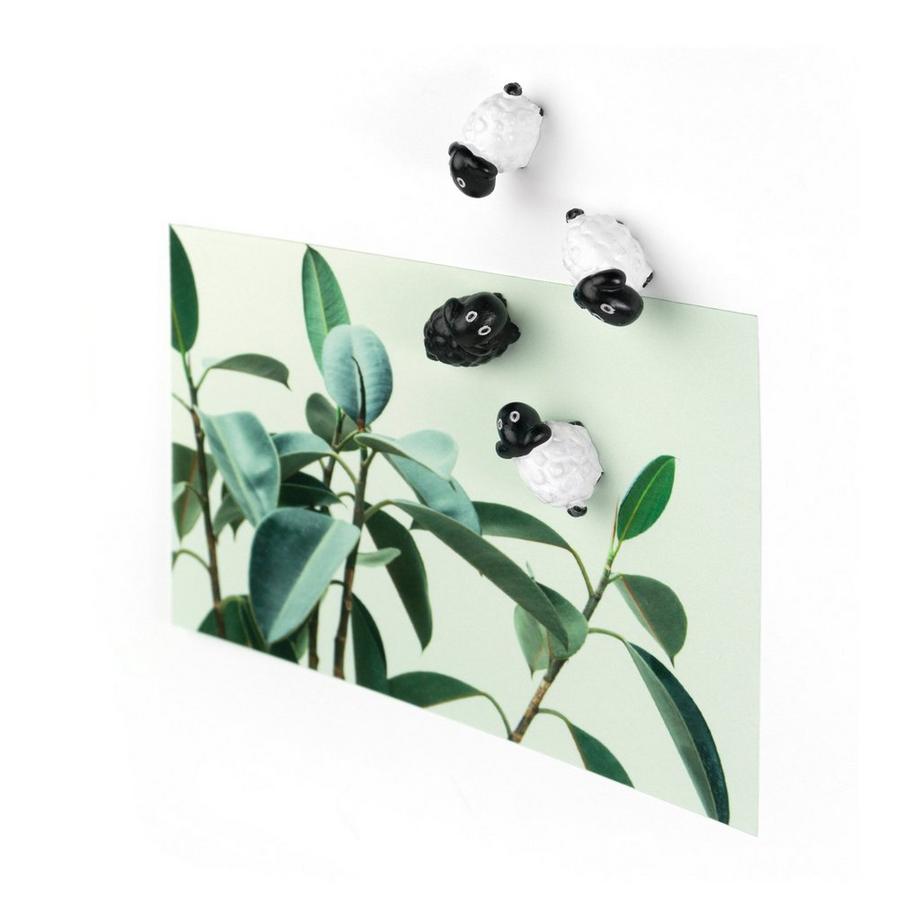 trendform Set d´aimants Mouton 
