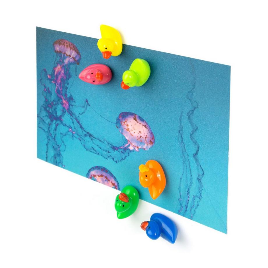 trendform Magnete Set Ente 