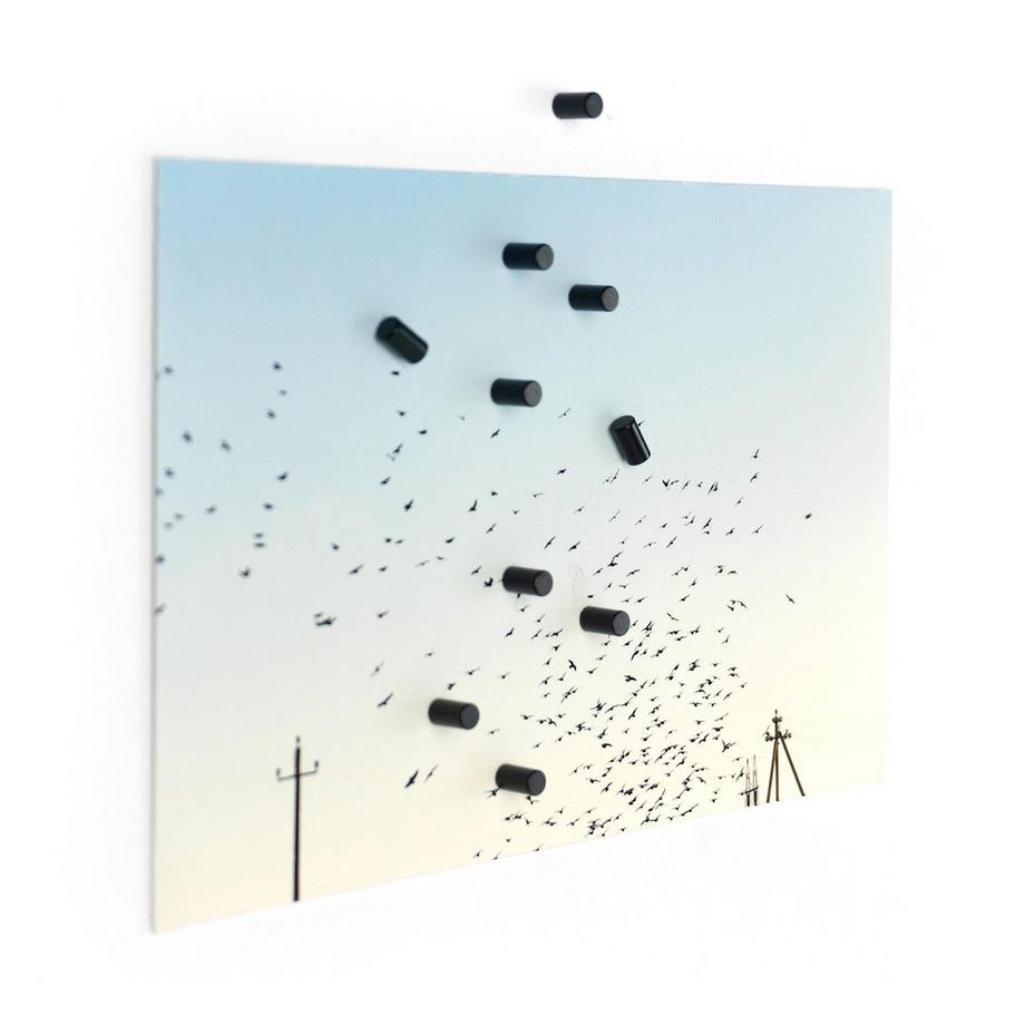 trendform Magnete Set Magnum 