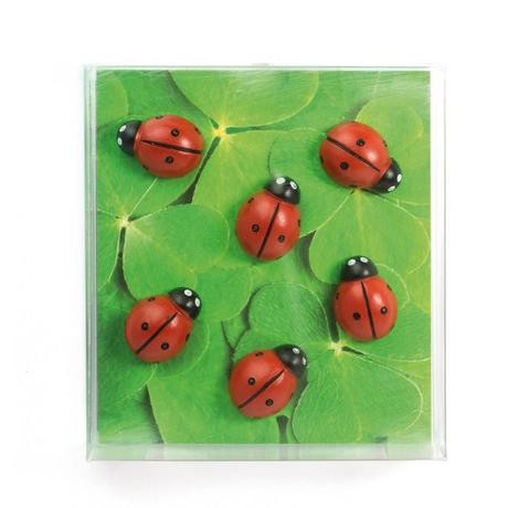 trendform Set di magneti Bug 