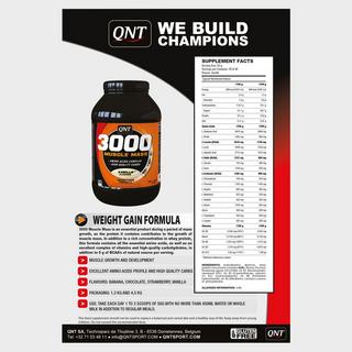 QNT QNT Weight Gain 3000, Vanilla Power Pulver 