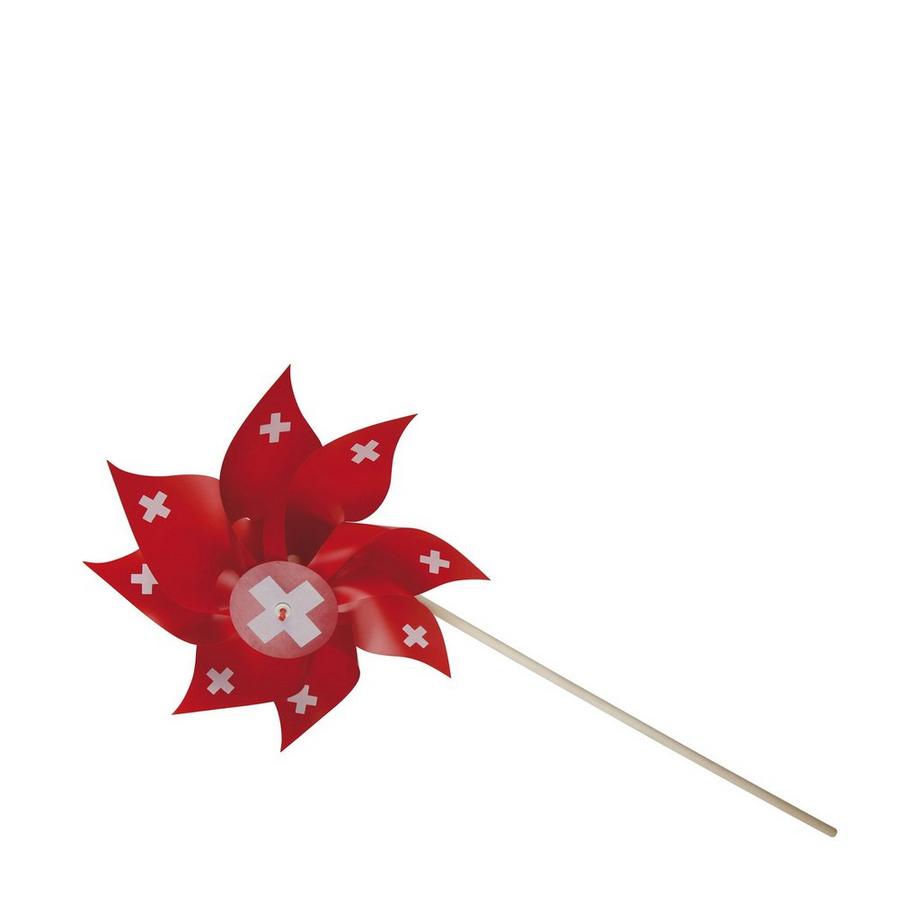 weco  Turbina eolica svizzera 