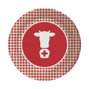 Piastra della Svizzera