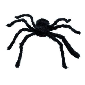 Haarige Spinne