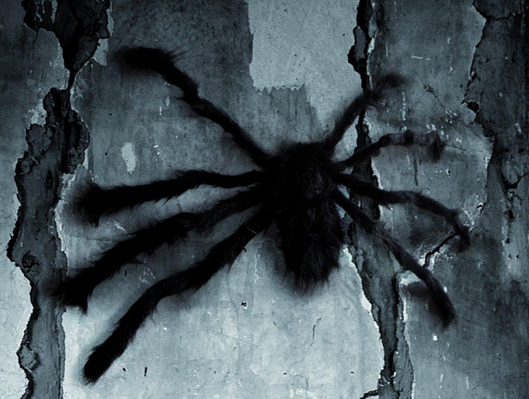 BOLAND  Haarige Spinne, schwarz, 70 cm 