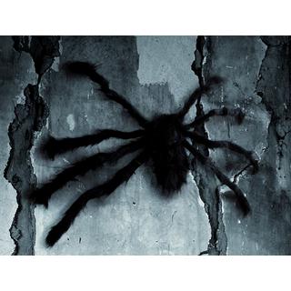 BOLAND  Araignée velue, noir, 70 cm 