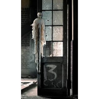 BOLAND  Squelette momie, 100 cm 