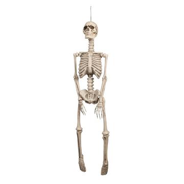 Skelett, 92 cm