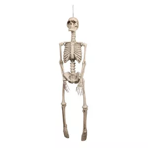 Scheletro, 92 cm