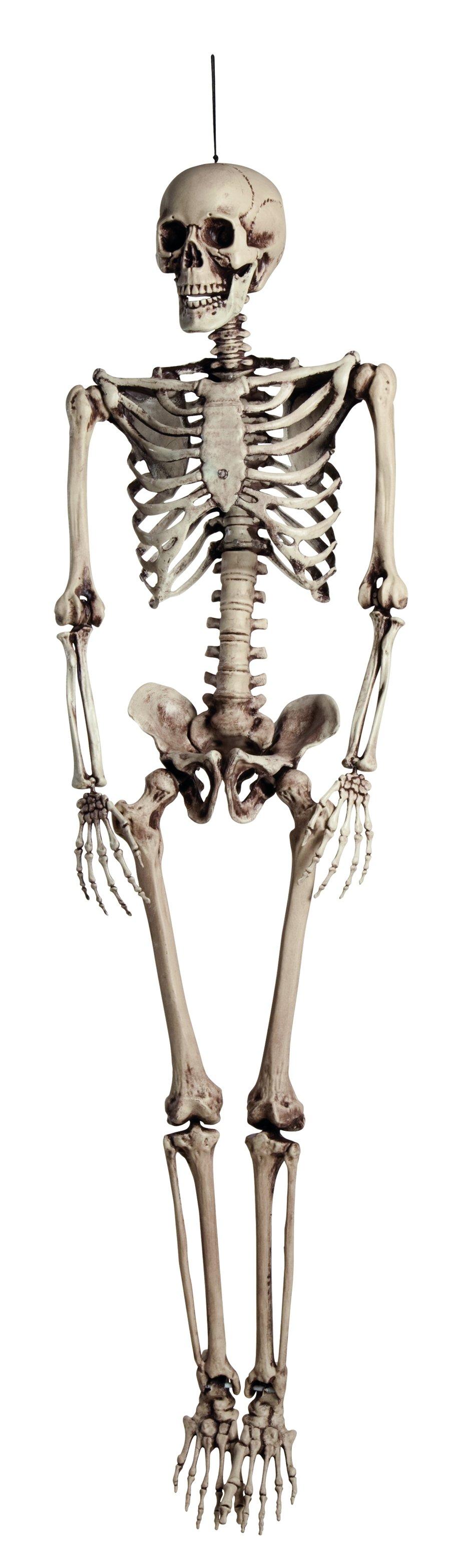 BOLAND HW DEKO SKELETT 160CM Squelette Marcel 160 cm 