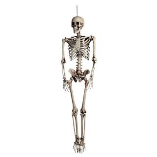 BOLAND HW DEKO SKELETT 160CM Skelett Marcel 160 cm 