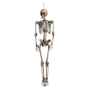 Skelett Marcel 160 cm