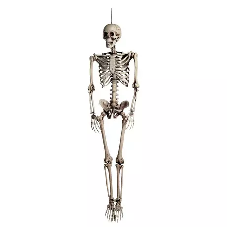 BOLAND HW DEKO SKELETT 160CM Squelette Marcel 160 cm